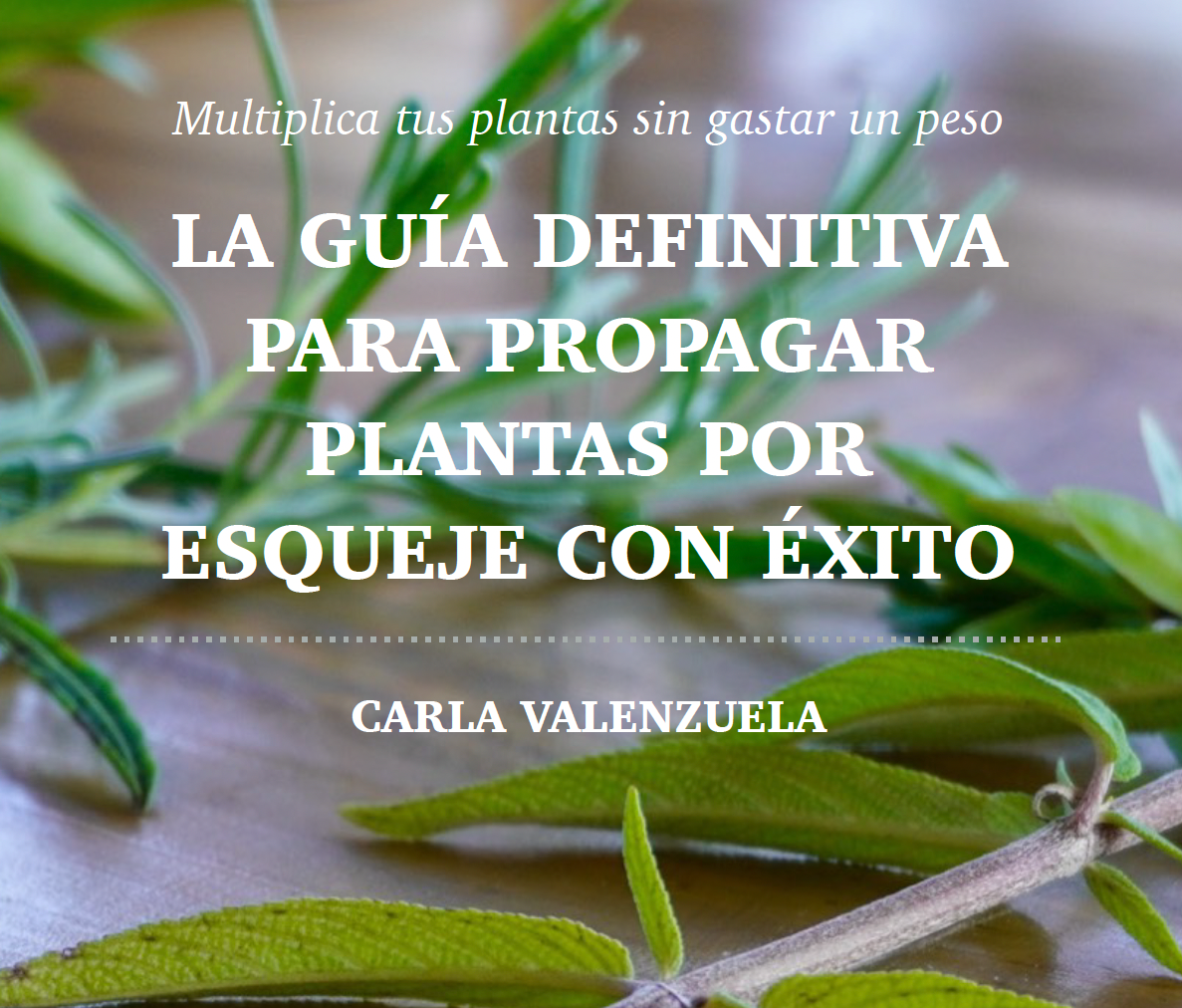 La Guía Definitiva para Propagar Esquejes con Éxito