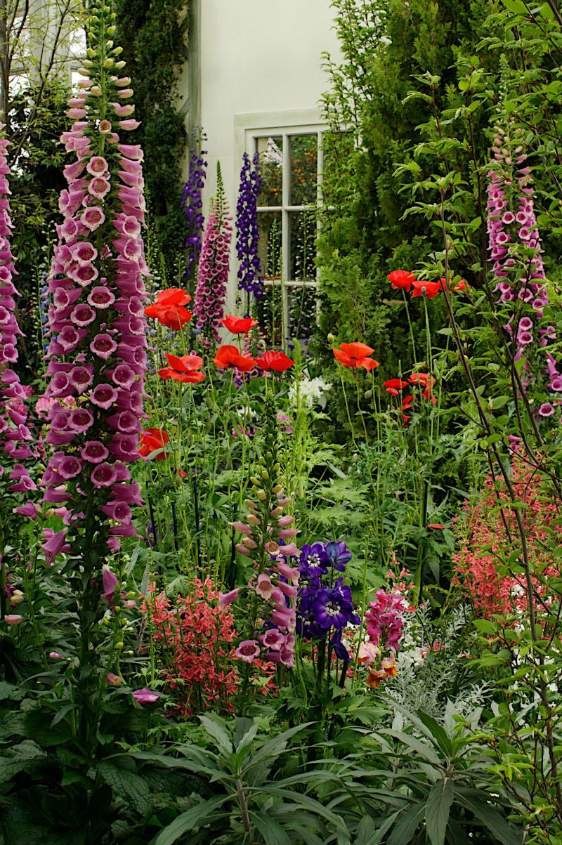 Curso On-Demand "Flores Anuales desde semilla"